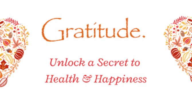 Gratitude  image